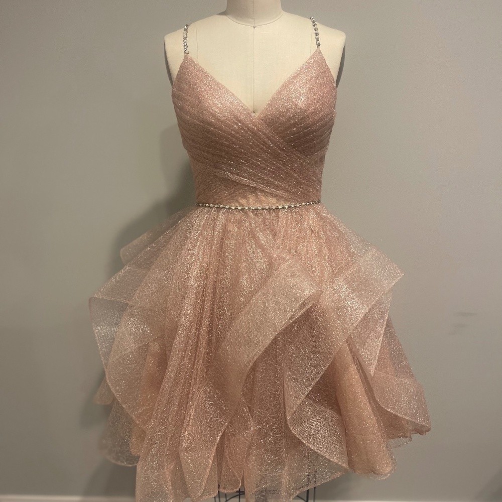 Blush dress